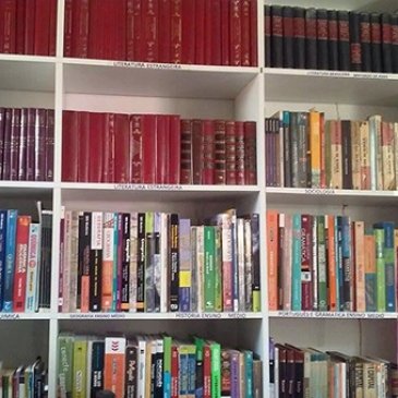 Irrigar o sertão com livros