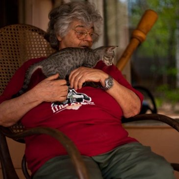 Respeitada no mundo, jurada de morte no interior do <br />
Piauí, Niéde Guidon revela decepção com o homem, <br />
paixão pelos animais e ironia com sua fama de má.<br />
