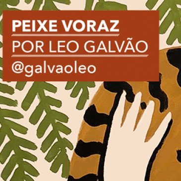 O que você espera do futuro?