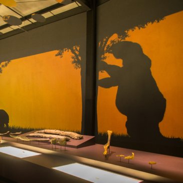 Museu da Natureza e Niéde Guidon: um espaço dedicado à natureza, com alta tecnologia, está transformando paisagem e humor no sertão do Piauí 