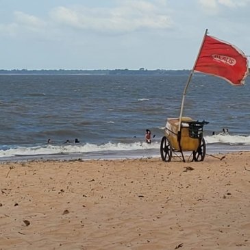 Por Rogério Newton - Da COP 30, Belém-PA
