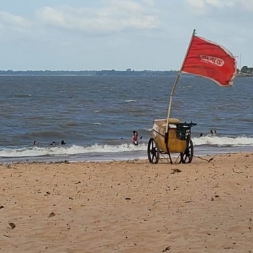 MERGULHO EM GUAJARÁ