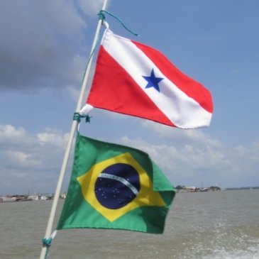 ONDE ESTAMOS GERANDO A FERIDA?