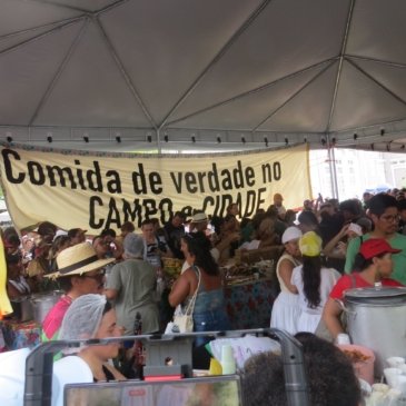 Por Rogério Newton - Da COP 30, Belém-PA