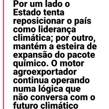 Por Jacqueline Lima Dourado e Flavia Ribeiro Barreto